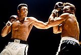 Unknown Muhammad Ali Boxing Fights painting